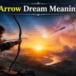 Arrow Dream Meaning
